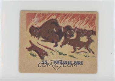 1930s W.S. Cowboys & Indians - Strip Cards R185 [Base] #55 - Prairie Fire