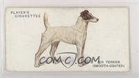 Fox Terrier (Smooth-Coated) [Good to VG‑EX]