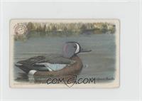 Blue-Winged Teal [Good to VG‑EX]