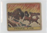 Prairie Fire [Poor to Fair]