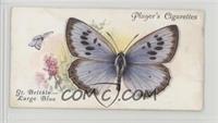 British Butterflies: The Large Blue, Nomiades Arion [COMC RCR Poor]