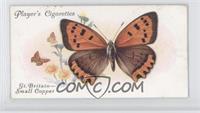 British Butterflies: The Small Copper [Good to VG‑EX]
