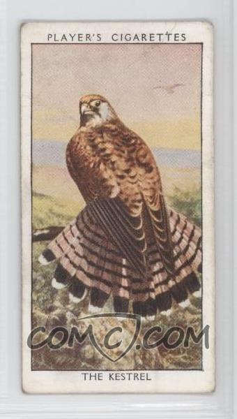 1932 player s wild
