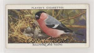 1932 Player's Wild Birds - Tobacco [Base] #2 - Bullfinch and Young