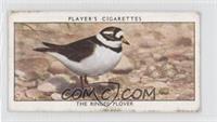 The Ringed Plover [Good to VG‑EX]