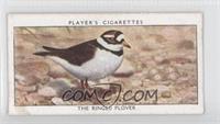The Ringed Plover [Noted]