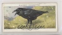 The Carrion Crow