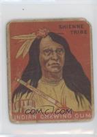 Chief of the Shienne Tribe [Poor to Fair]