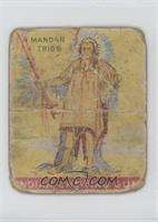 Chief of the Mandan Tribe [COMC RCR Poor]