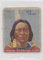Chief of the Ute Tribe