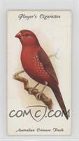 Australian Crimson Finch