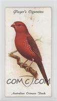 Australian Crimson Finch [Good to VG‑EX]