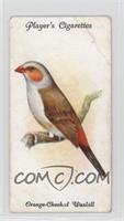 Orange-Cheeked Waxbill [COMC RCR Poor]