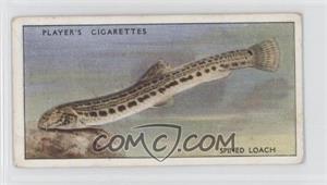 1933 Player's Fresh-Water Fishes - Tobacco [Base] - Pink Back #27 - Spined Loach [Good to VG‑EX]