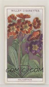 1933 Wills Garden Flowers - Tobacco [Base] #36 - Polyanthus
