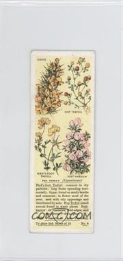 1936 Ty-Phoo Tea Wild Flowers in Their Families Series 2 - Tea [Base] #N/A - Pea Family