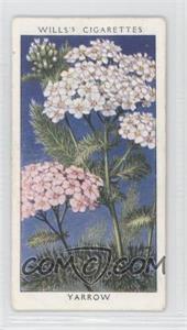 1936 Wills Wild Flowers A Series of 50 Series 1 - Tobacco [Base] #50 - Yarrow [Good to VG‑EX]