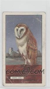 1937 Gallaher British Birds - Tobacco [Base] #46 - Barn Owl [Poor to Fair]