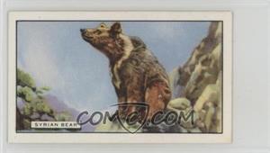 1937 Gallaher Wild Animals - Tobacco [Base] #40 - The Syrian Bear