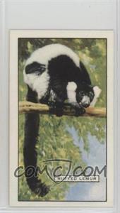 1937 Gallaher Wild Animals - Tobacco [Base] #8 - The Ruffed Lemur