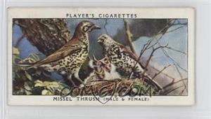 1937 Player's Birds & Their Young - Tobacco [Base] #39 - Missel Thrush