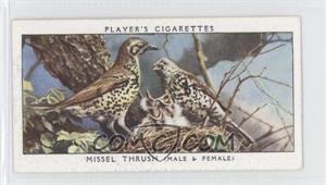1937 Player's Birds & Their Young - Tobacco [Base] #39 - Missel Thrush