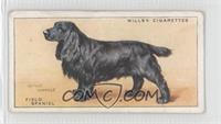 Field Spaniel [Good to VG‑EX]