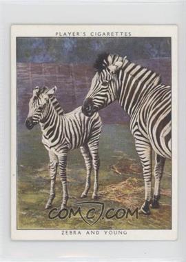 1938 Player's Cigarettes Zoo Babies - Tobacco [Base] #25 - Zebra and Young