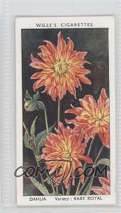 1939 Wills Garden Flowers by Richard Sudell - Tobacco [Base] #16 - Dahlia, Variety: Baby Royal