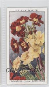 1939 Wills Garden Flowers by Richard Sudell - Tobacco [Base] #39 - Polyanthus