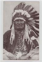 Mountain Chief of Blackfoot Tribe, Montana