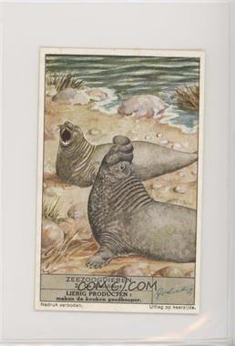 1941 Liebig Marine Mammals Series 1 - S1430 - Dutch #2 - De Zeeolifant