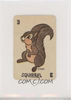 Squirrel [Poor to Fair]