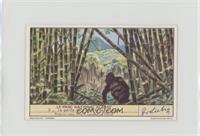 Le gorille dans la foret de bambous