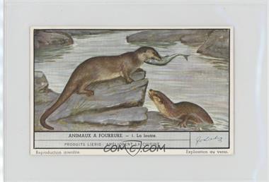 1950s Liebig Fur Animals - [Base] - French #1 - La loutre [Poor to Fair]