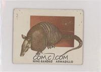 Nine-Banded Armadillo [Good to VG‑EX]