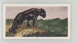 1954 Neilson's Chocolate Interesting Animals - [Base] #12 - Black Panther