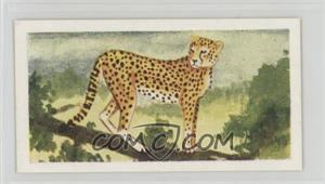 1954 Neilson's Chocolate Interesting Animals - [Base] #44 - Cheetah