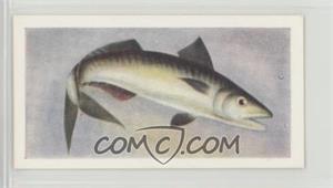 1954 The White Fish Authority The Fish We Eat - [Base] #22 - Mackerel