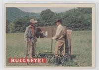 Bullseye! (Grey Stock Back)