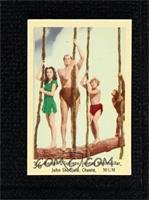 Mareen O'Sullivan, Johnny Weissmuller, John Sheffield, Cheeta (Uncorrected Erro…