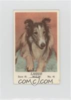 Lassie