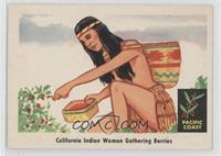 California Indian Woman Gathering Berries