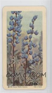 1961 Brooke Bond Red Rose Wild Flowers of North America - Tea [Base] - American Dark Blue Backs #28 - Wild Lupine