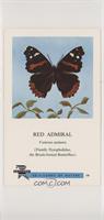 Red Admiral