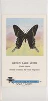Green Paige Moth