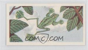 1961 Miranda Confectioners Strange Creatures - Food Issue [Base] #30 - Flying Frog