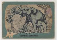 Emperor Mammoth [Poor to Fair]