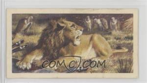 1962 Brooke Bond Asian Wild Life - Tea [Base] #10 - Indian Lion