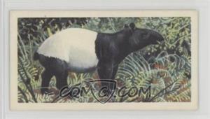 1962 Brooke Bond Asian Wild Life - Tea [Base] #42 - Malay Tapir